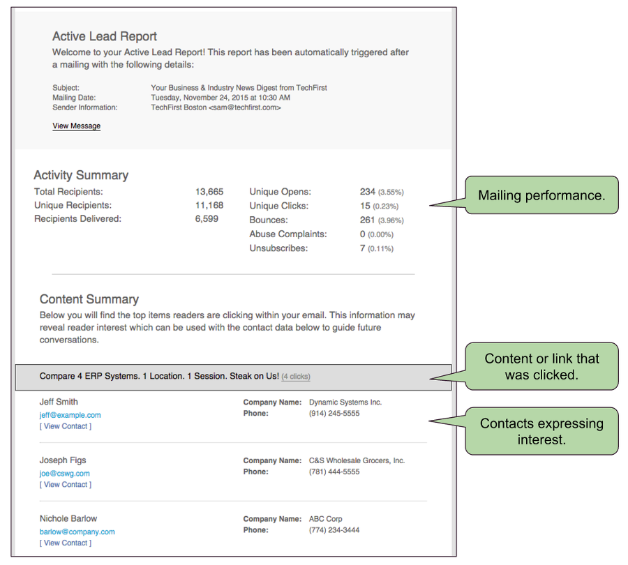 Anatomy of an Active Lead Report.